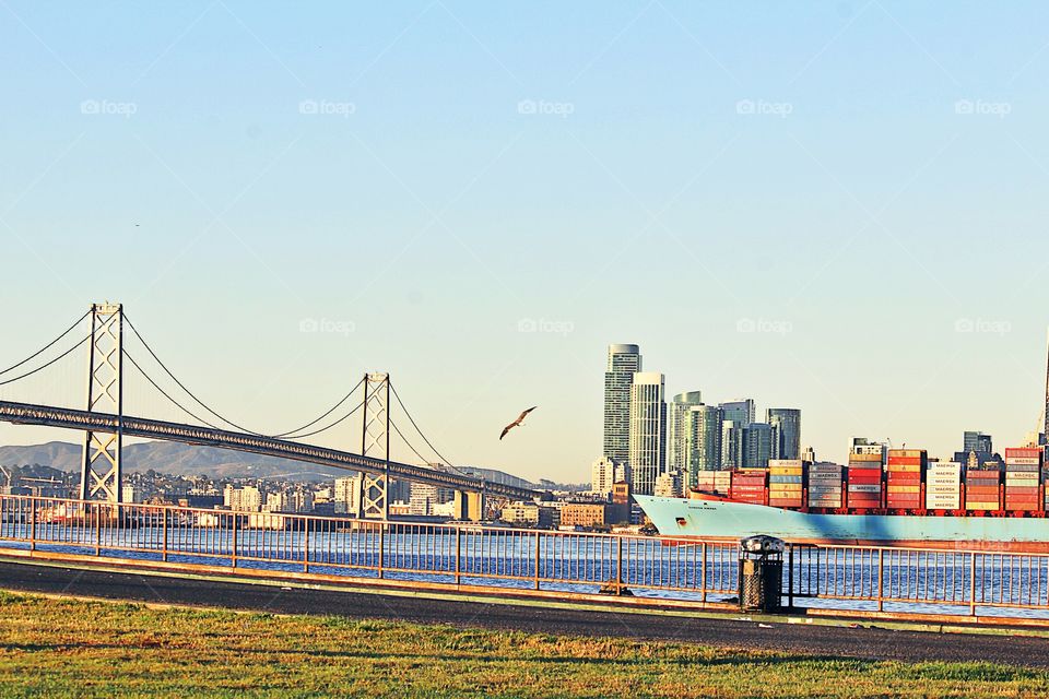 a ship full shipping containers passing under the Bay Bridge as a seagull flies by while the cityscape Stands Tall in the background.