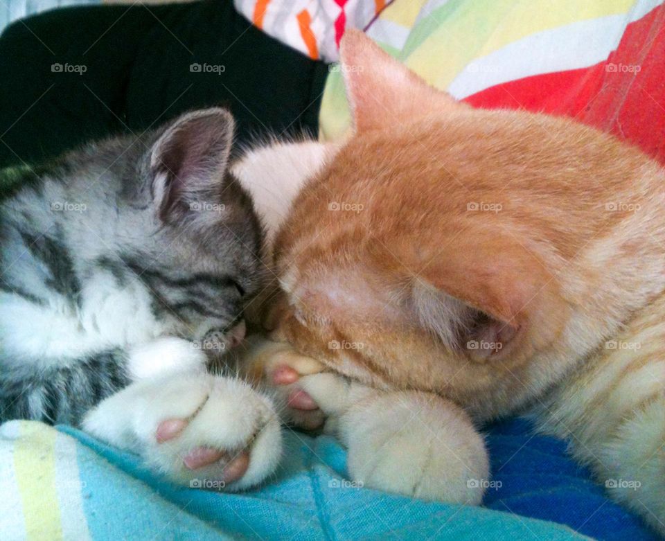 Unseparate two lovely angels Sleeping together ❤️