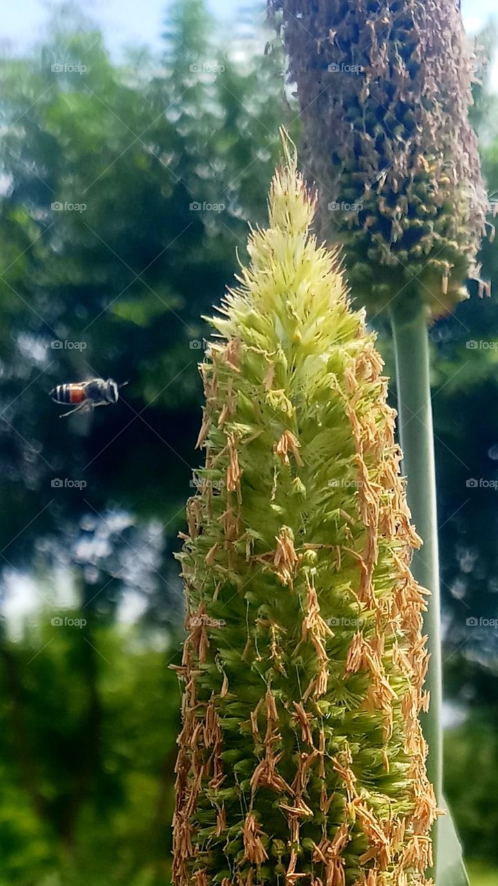 This is very very beautyfull click...