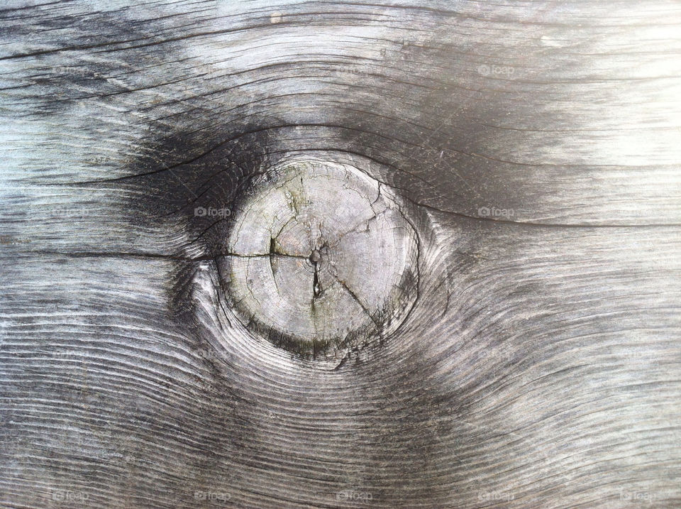 stony creek metropark michigan park bench tree knot simple beauty by ashtv