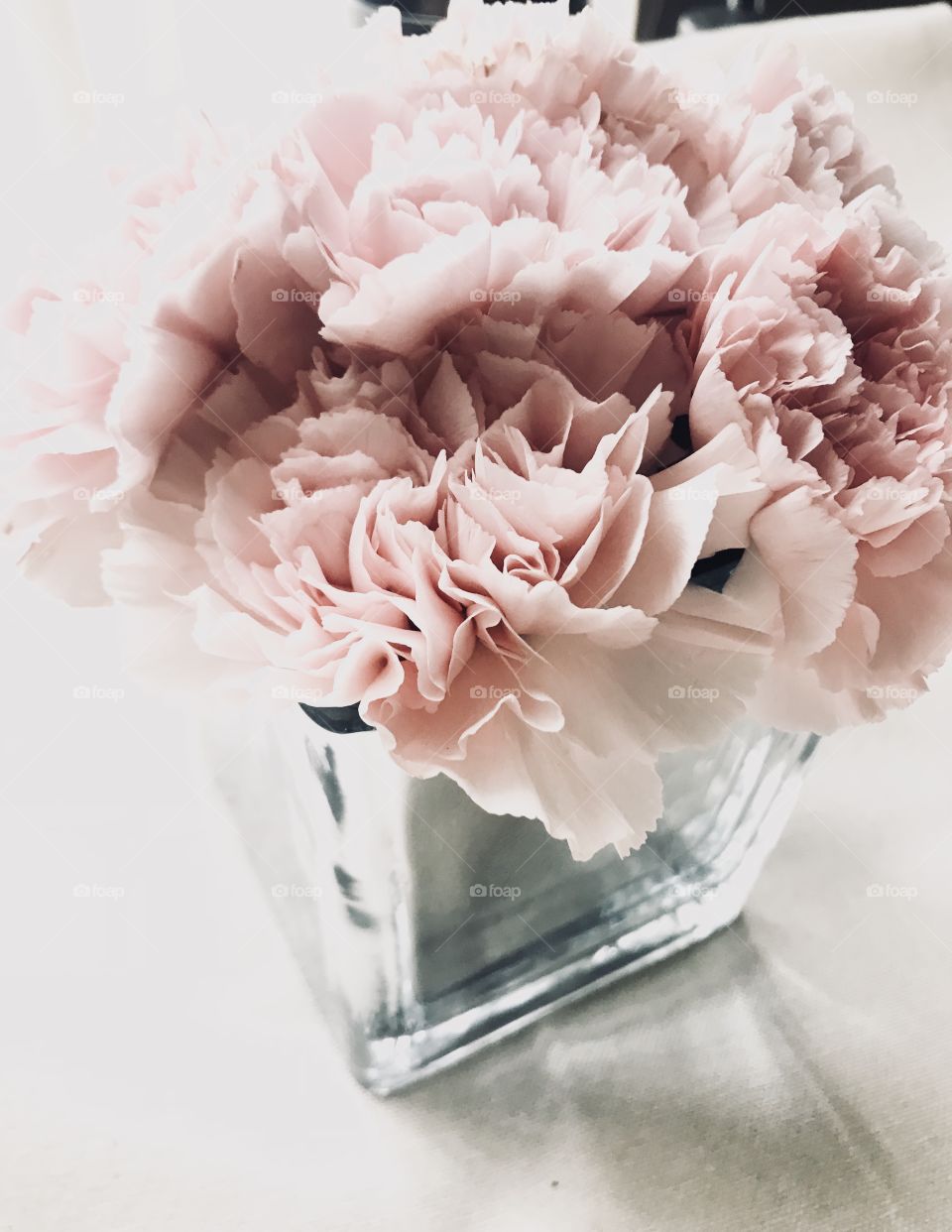 Blush Pink Carnations in Mercury Glass