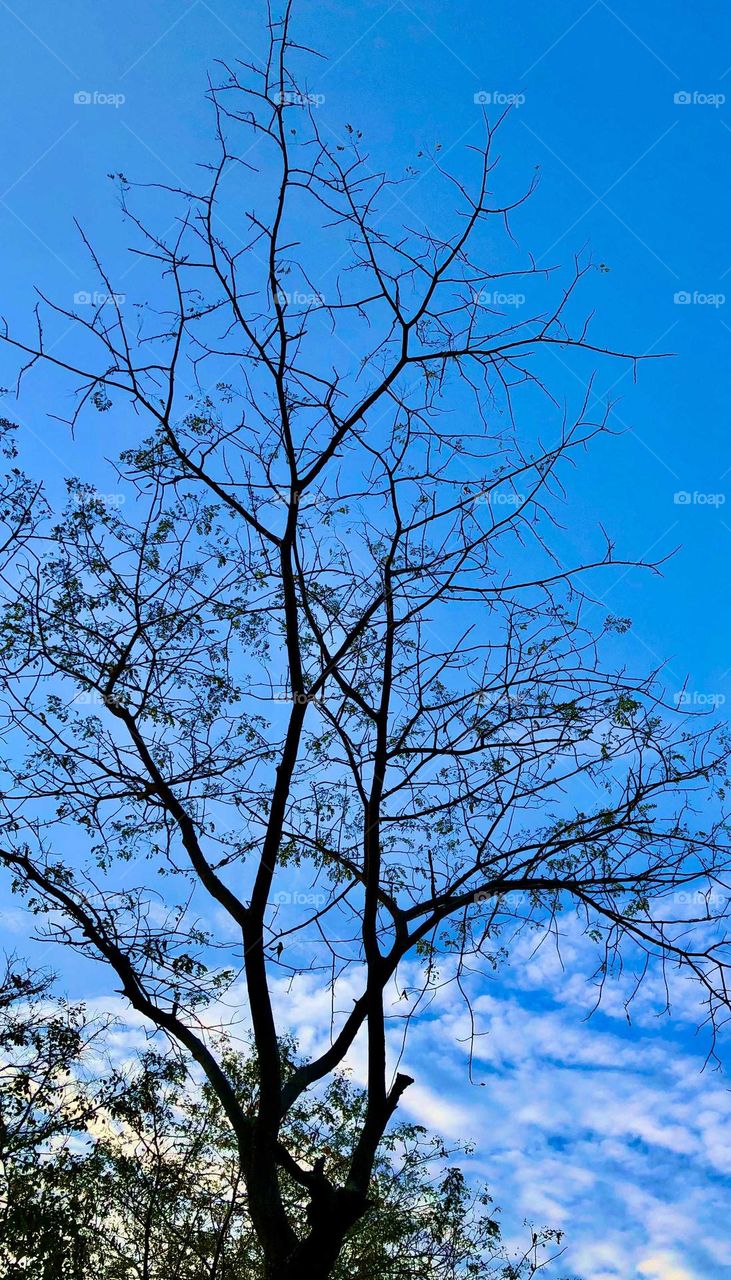 Sell your first photo on Foap