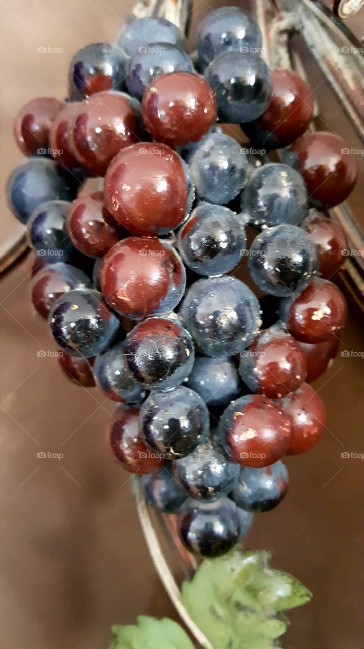 Beautiful macro shots