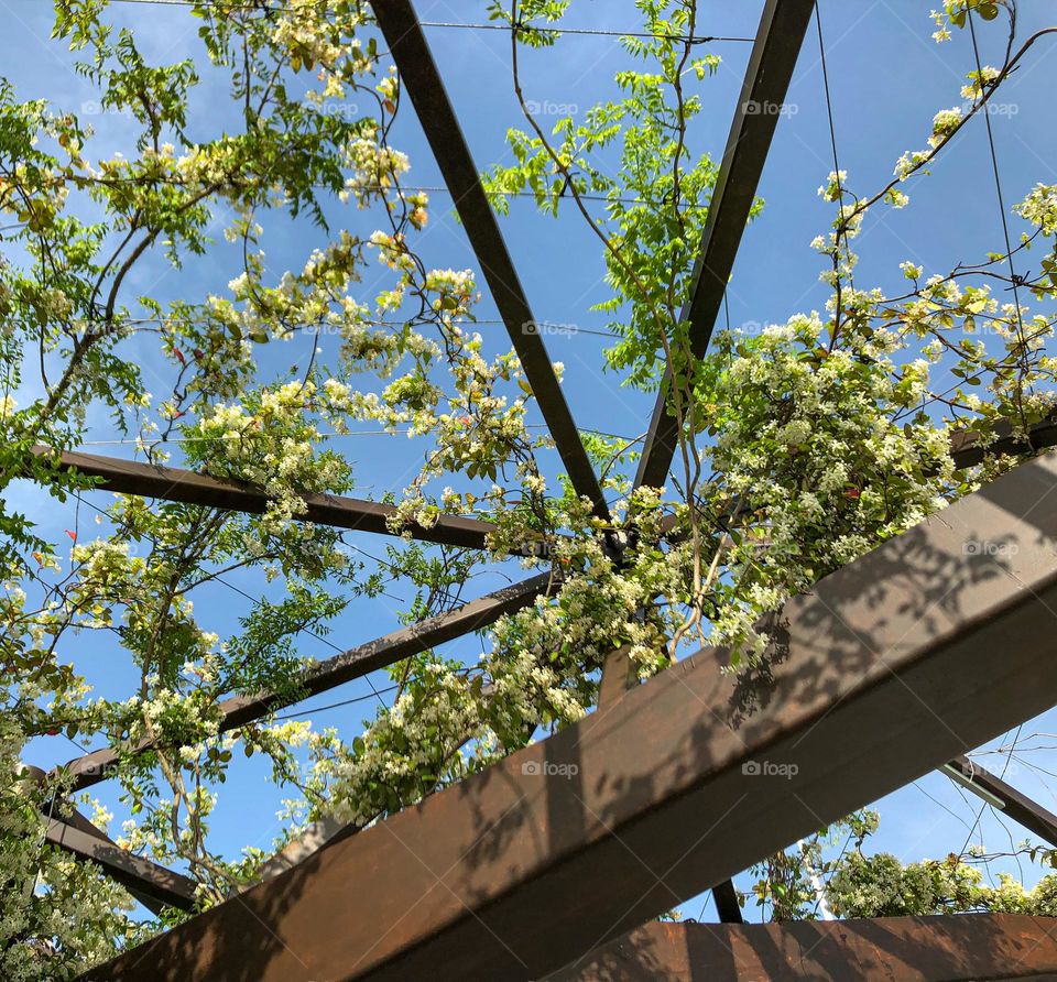 Triangle metal construction with blossom plants