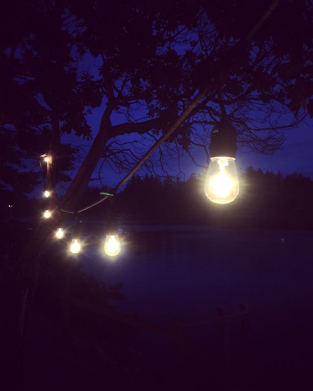 Gossip lights 