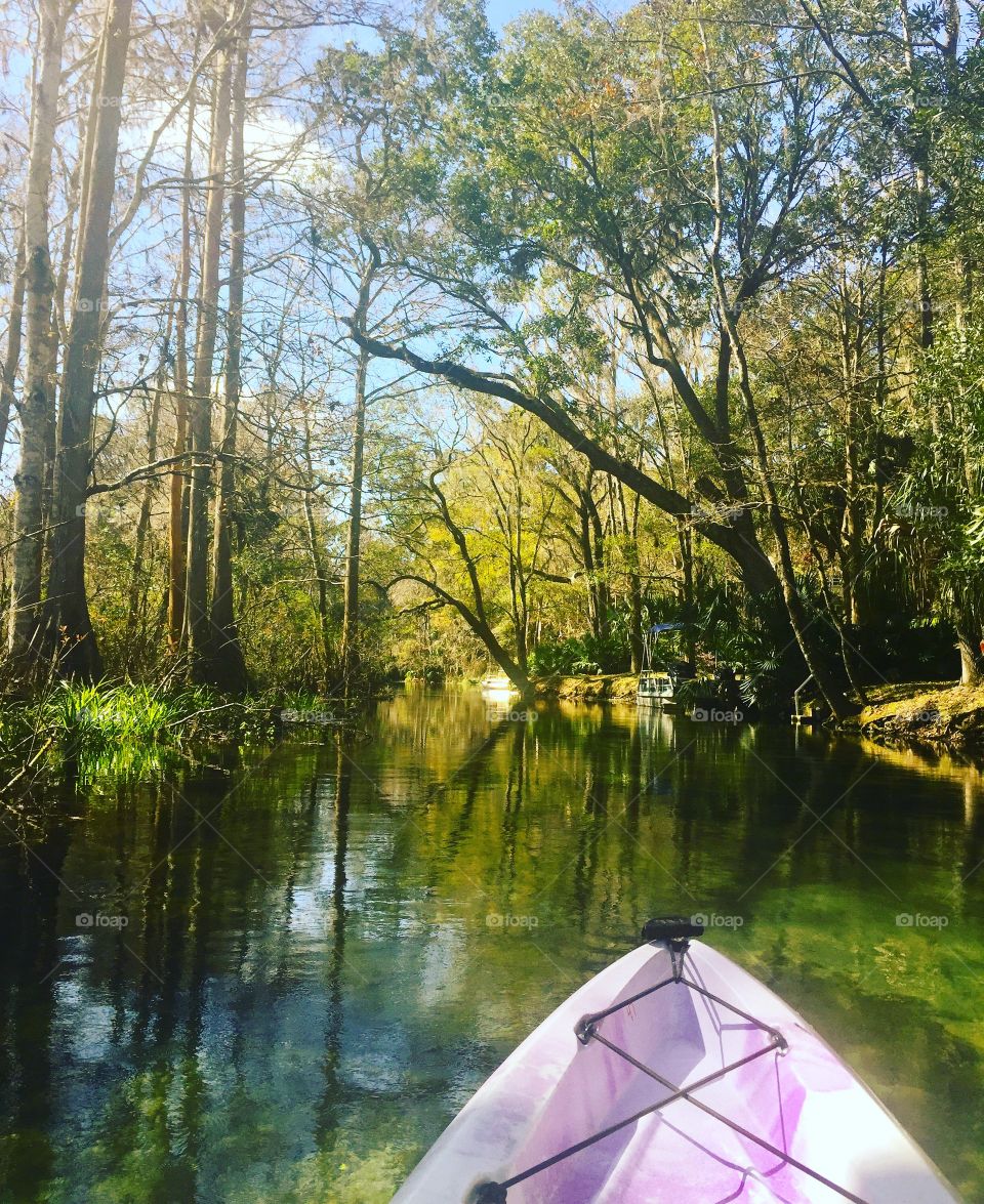 Kayaking the river