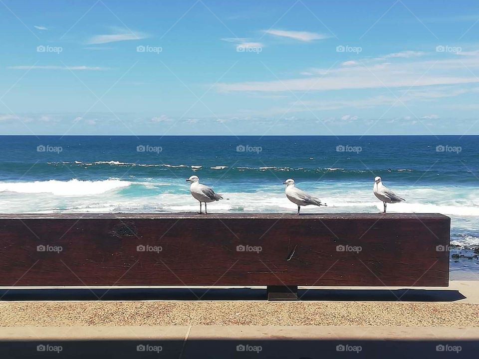 The memories of summer.