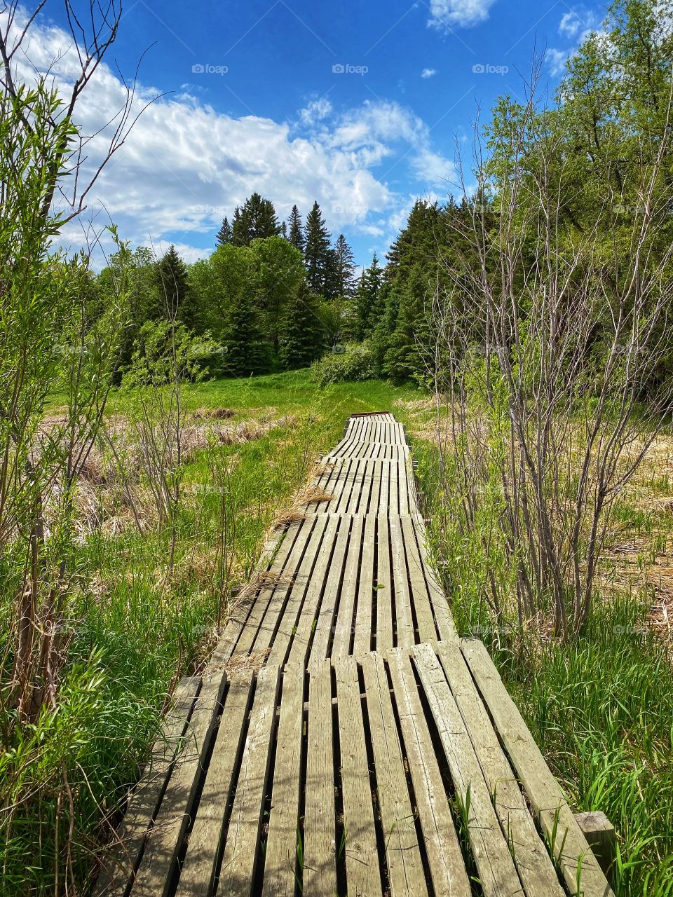 Walking trail 