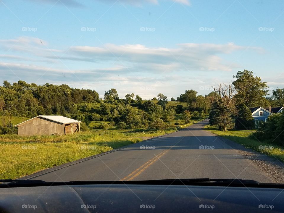 Road, Car, Tree, Highway, Transportation System