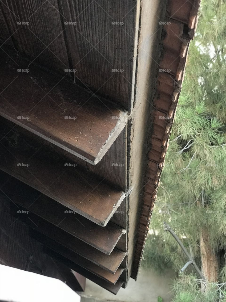 Techo de tejas con árbol 