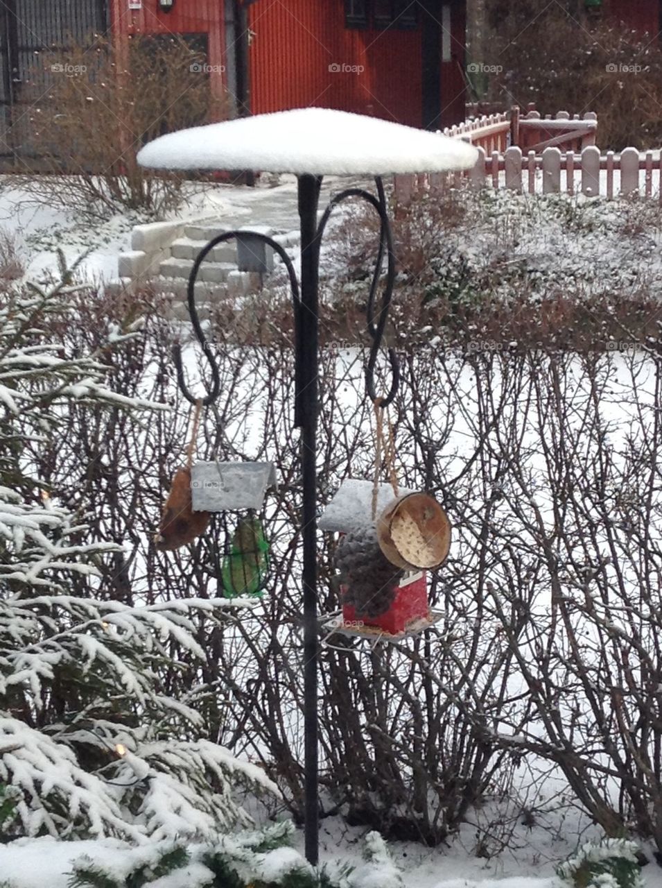 Birdfeeder