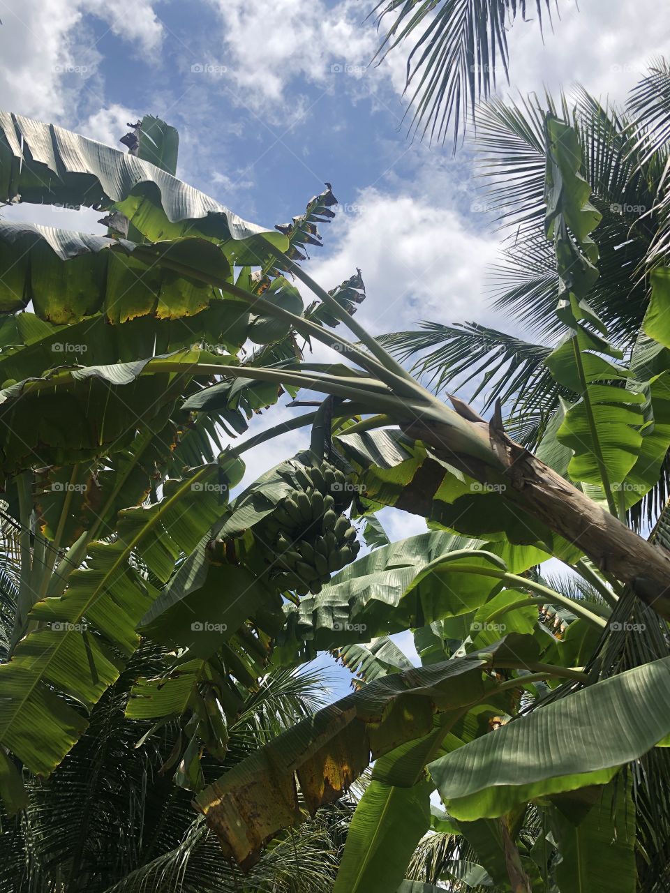 My countryside✌️