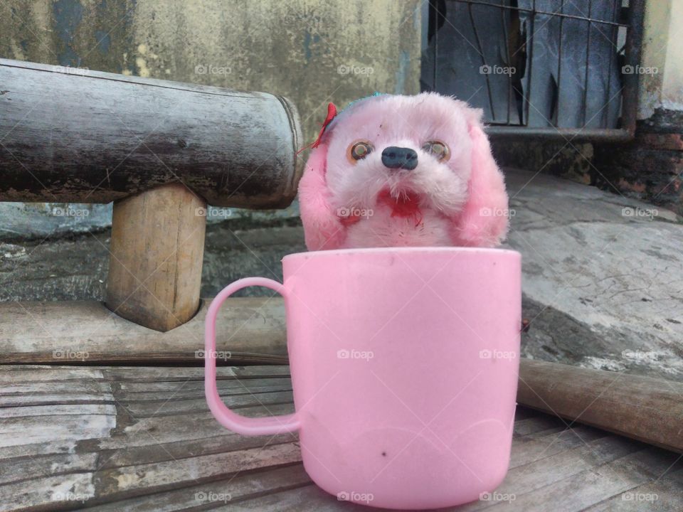 When my neighbor's daughter was drinking milk and playing with her puppy doll, I made the doll and the mug the object of my photo.