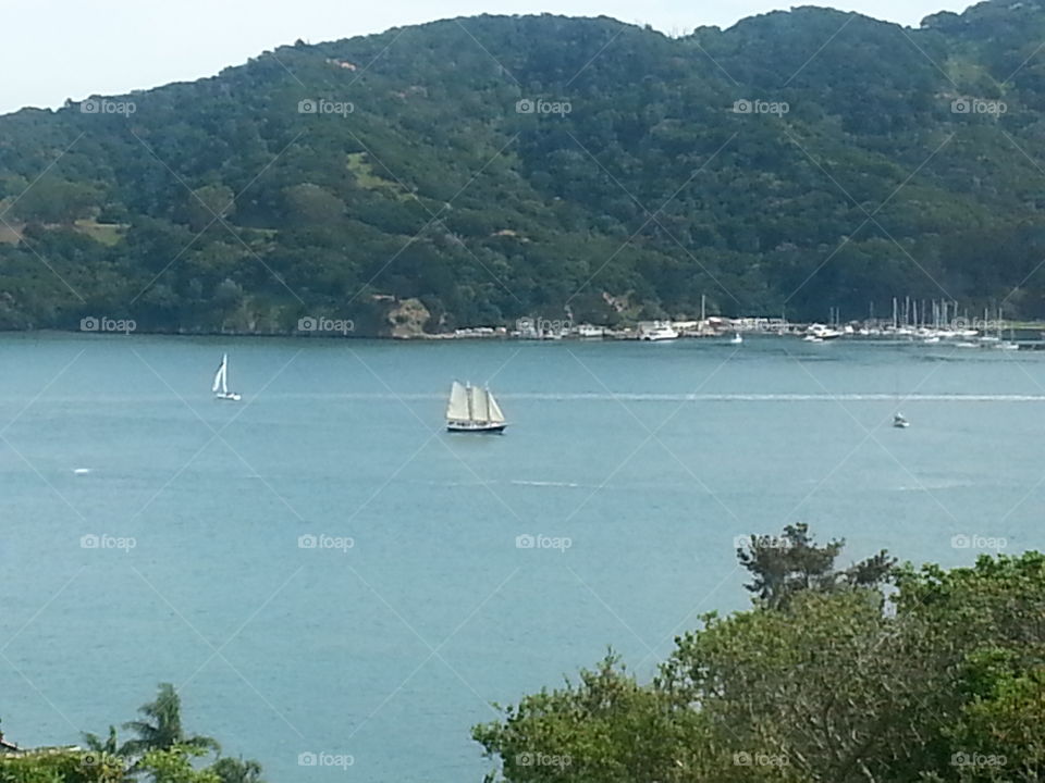 Bayview from Tiburon