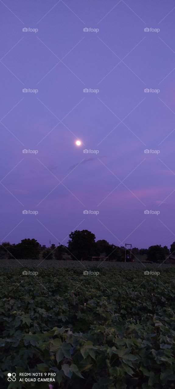 The moon looks beautiful