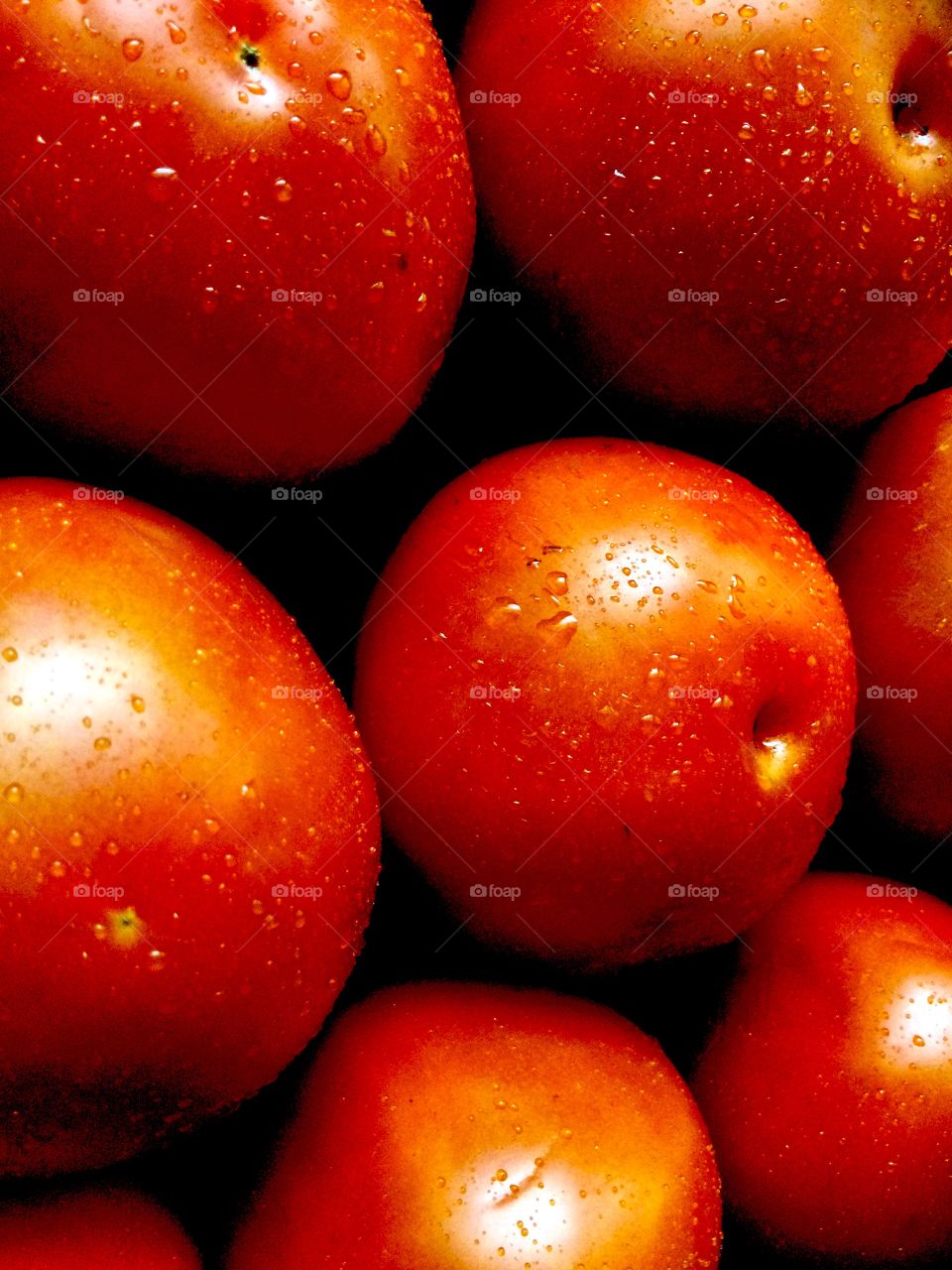 Tomates rojos y frescos