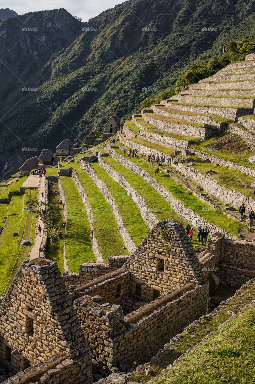 Inca terraces 