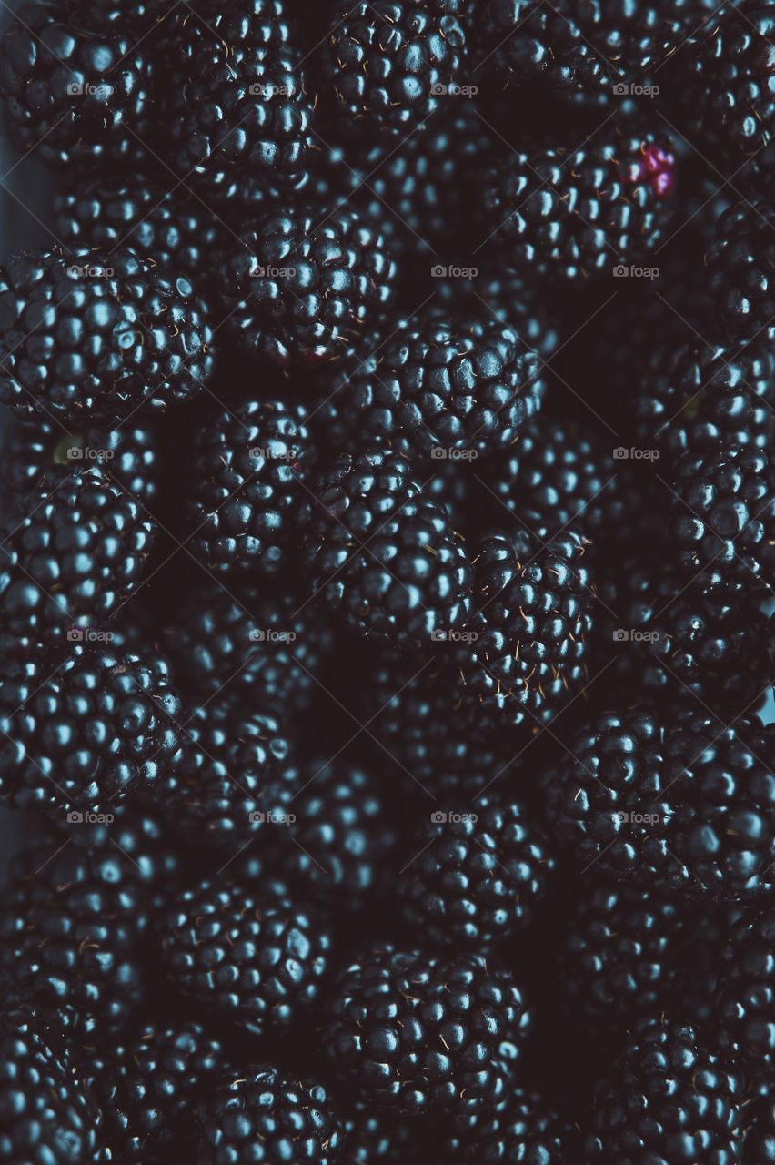Blackberries closeup microshot