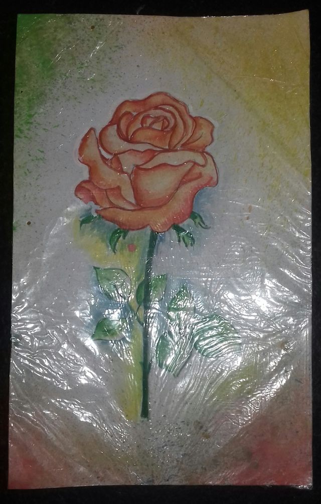 my drawings
