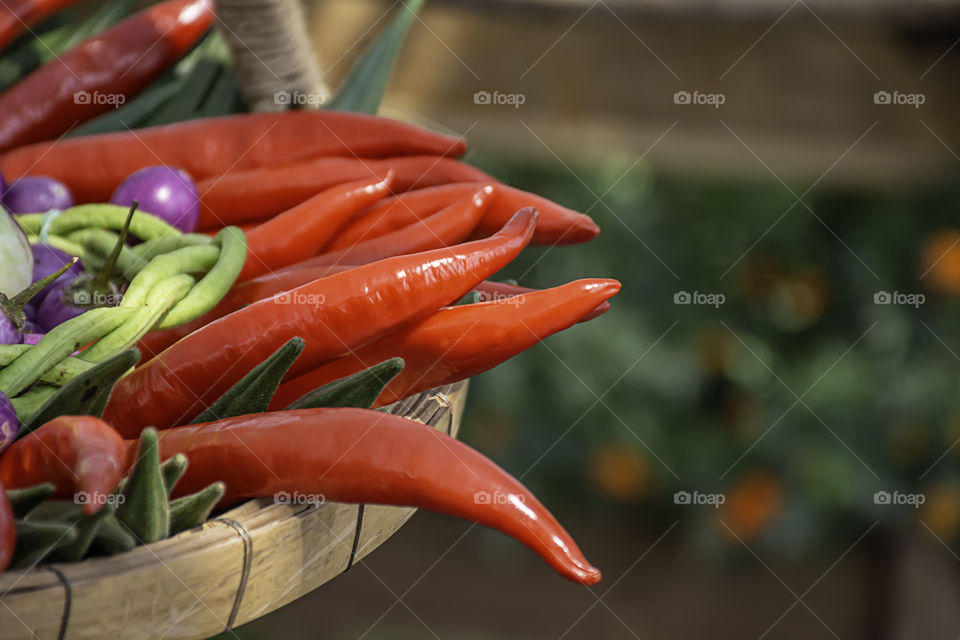 A fresh red chilli, lots of beautiful.