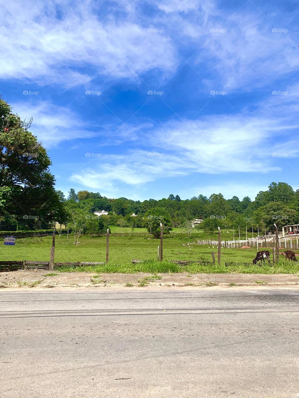 Brazil and its landscapes