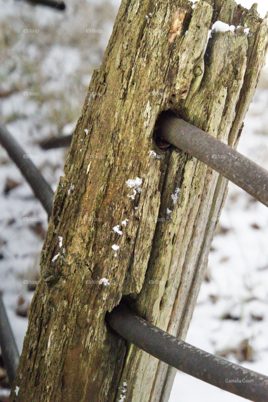 Old farm fence post