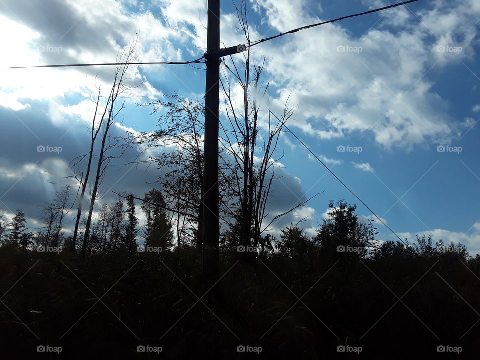 pole clouds n trees