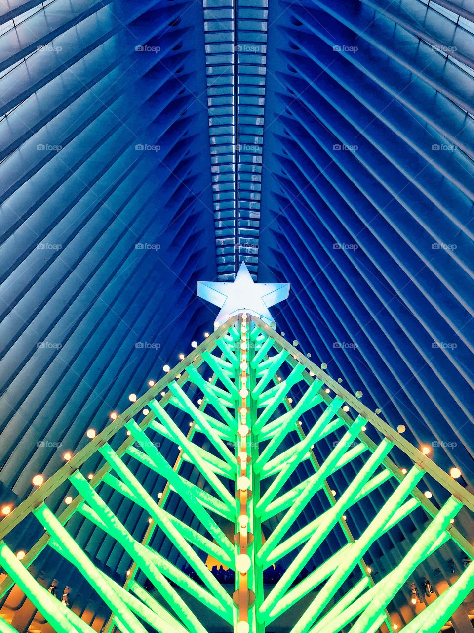 Lighted christmas tree at Oculus Holiday Market in New York City 