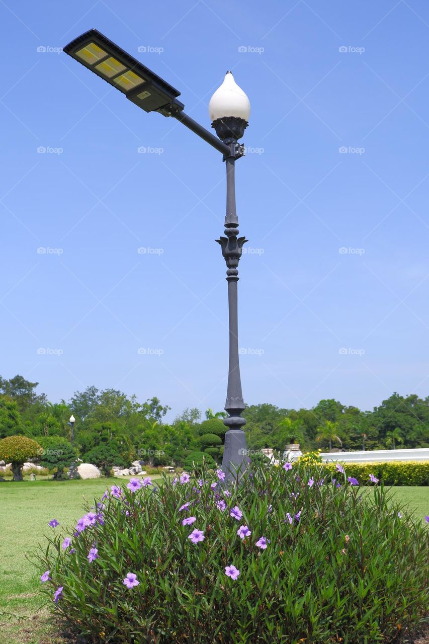solar powered lighting poles in the park