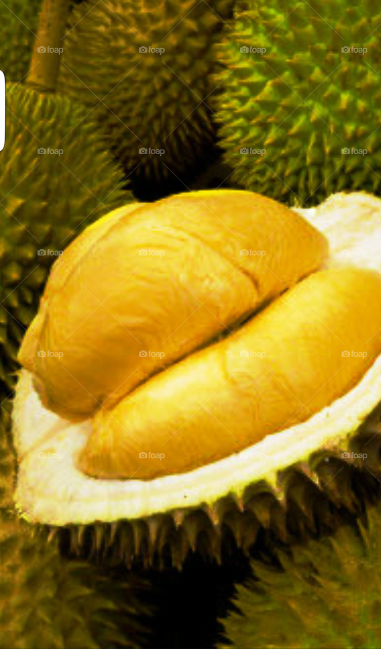 durian, Asean fruit