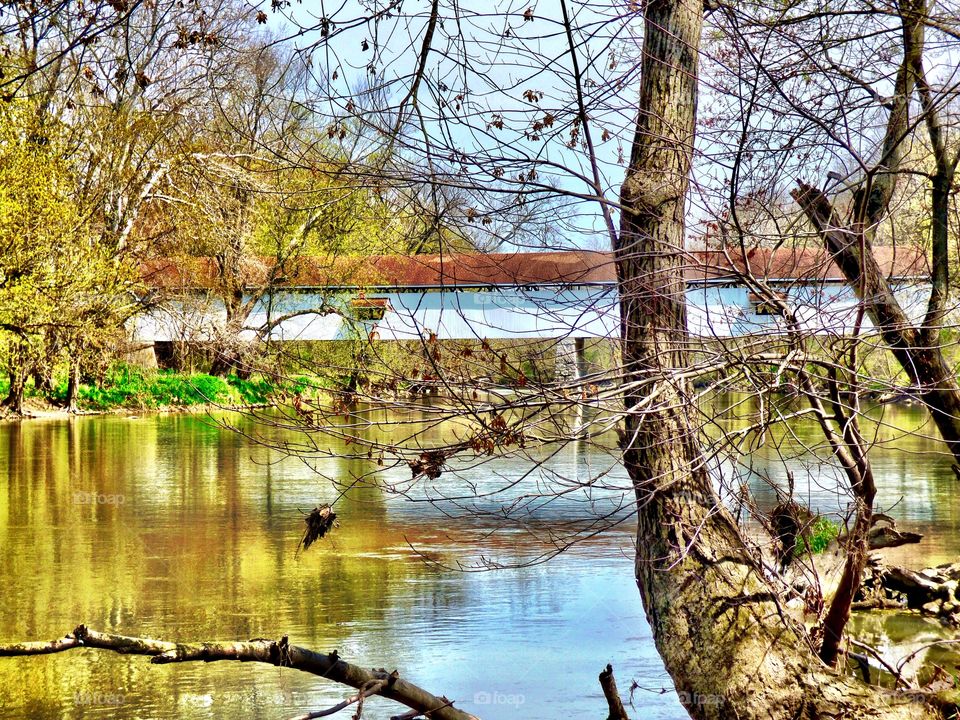 Beautiful spring at potters covered bridge 