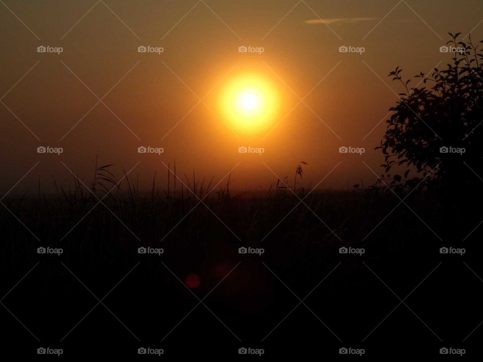 Sonnenaufgang über ein Feld