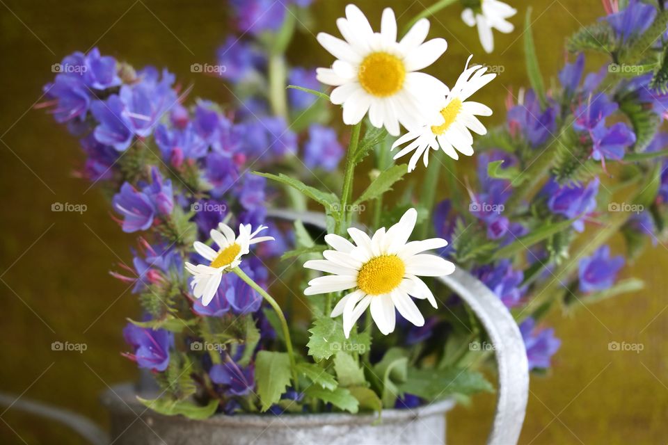 Summer Bouquet with daisies and blueweed 
