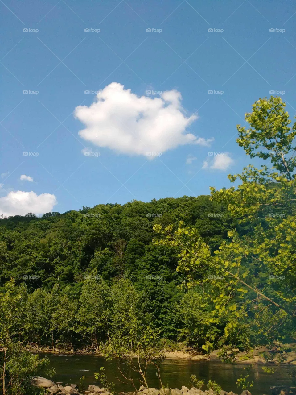 mountain