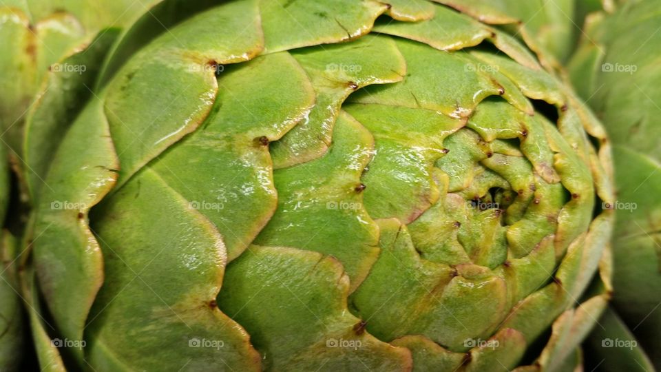 Artichokes