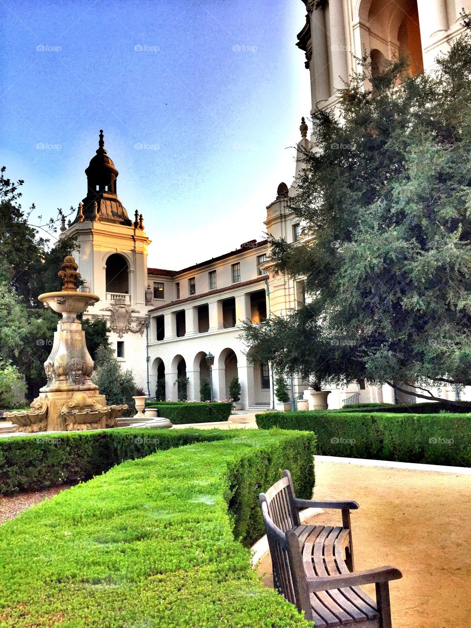 The courtyard 