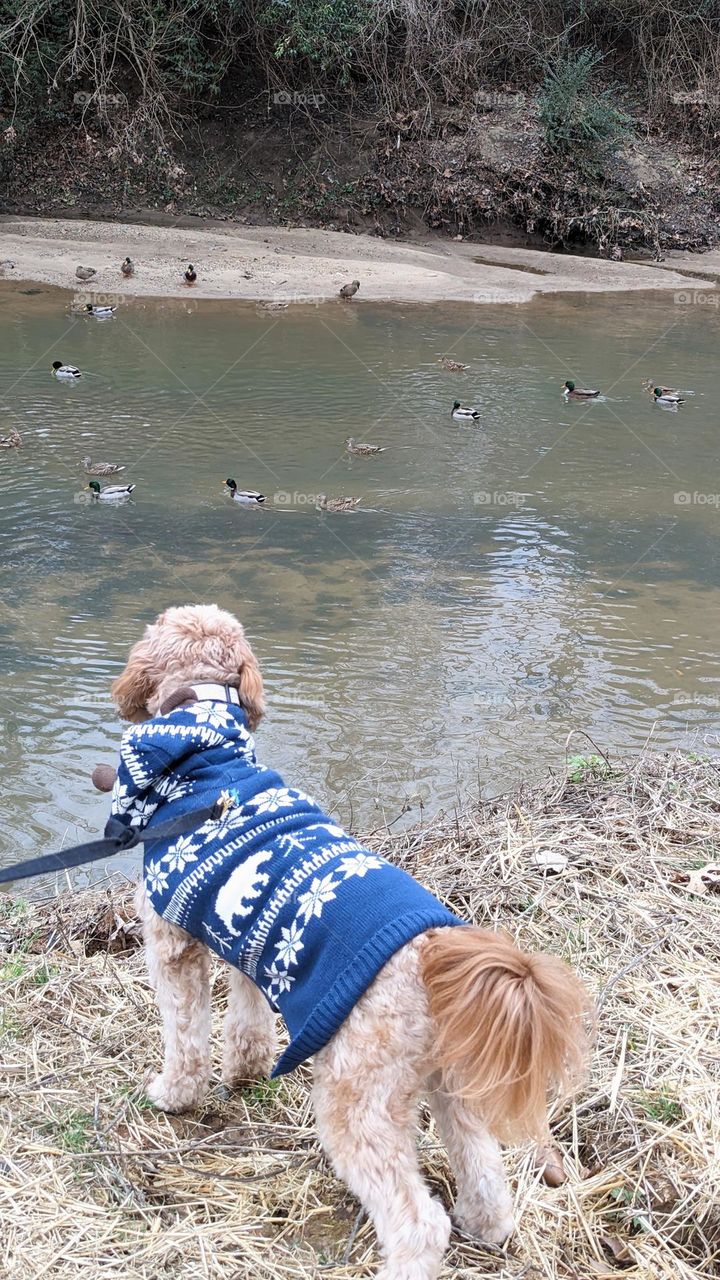 so close but yet so far away