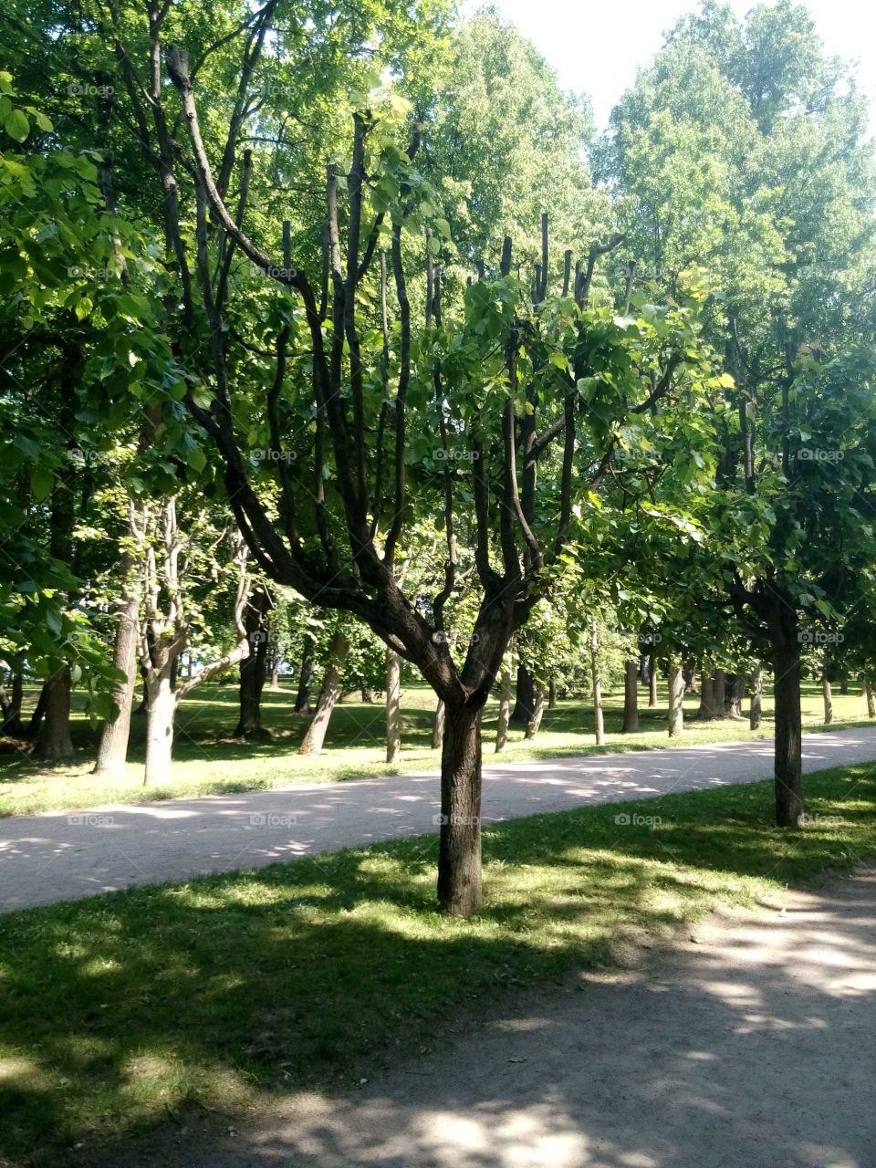 Park