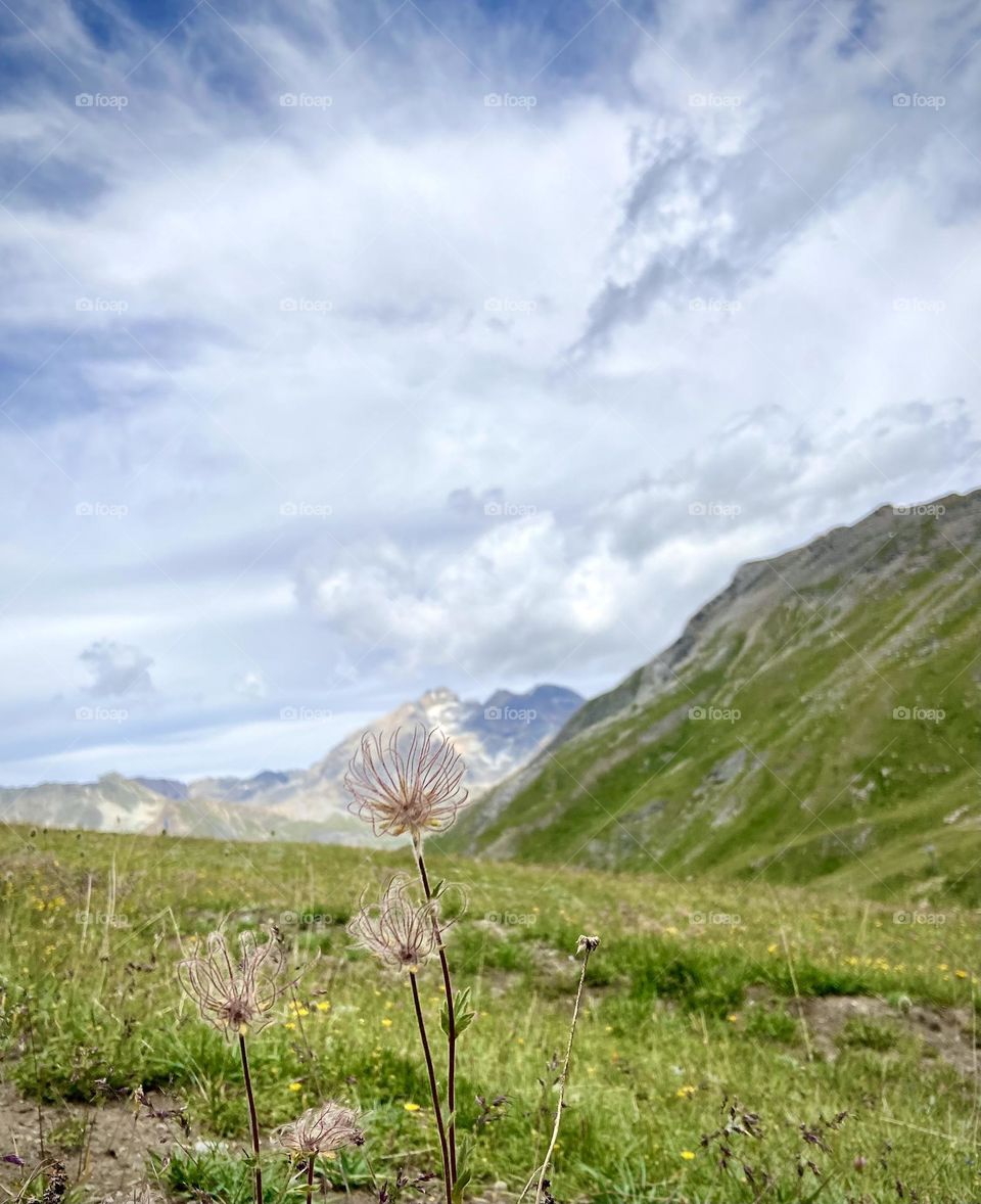 Moutain , Alpes Jully 2022 . 