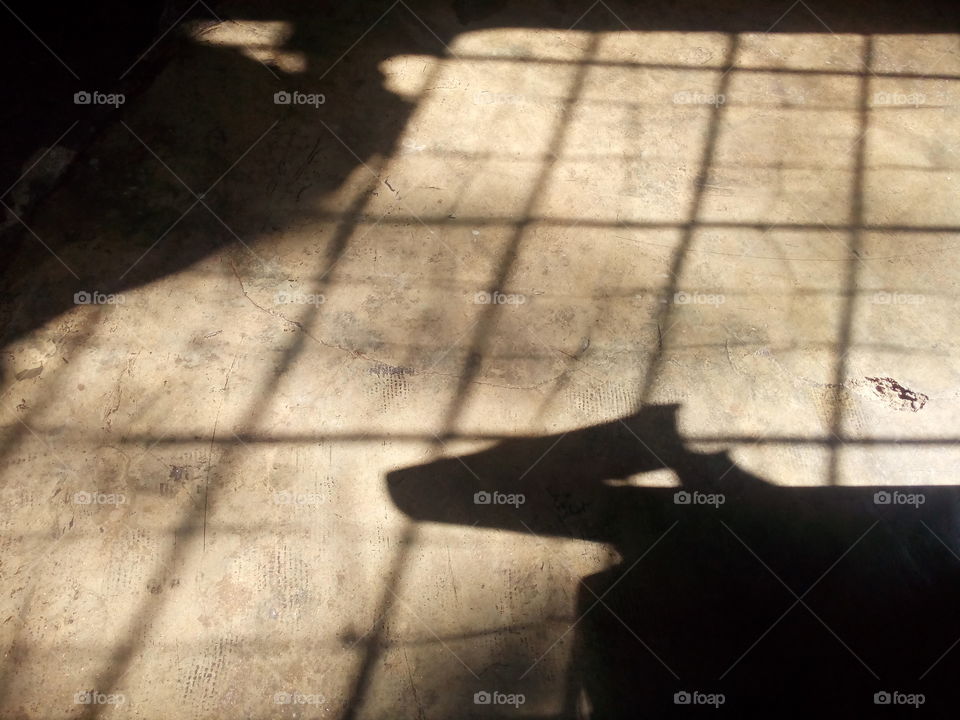 shadow
