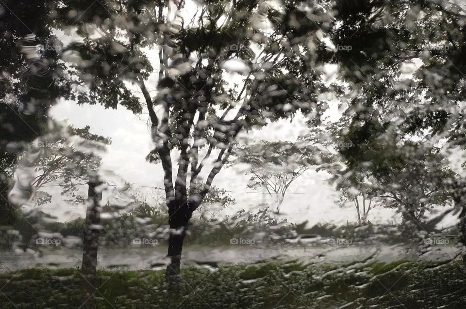 Observing the rain wetting the landscape of distant trees... drops of water flow on the glass.