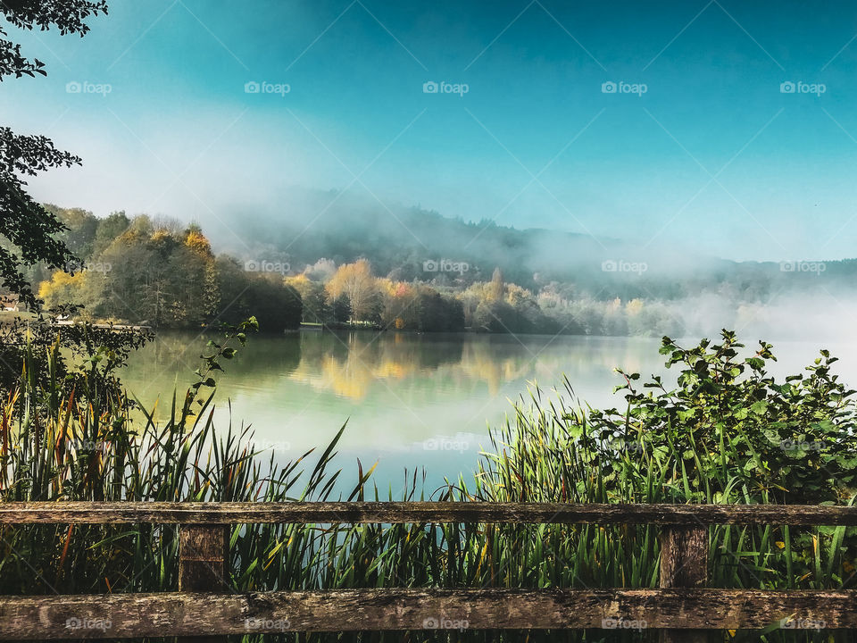 Morning in the river 