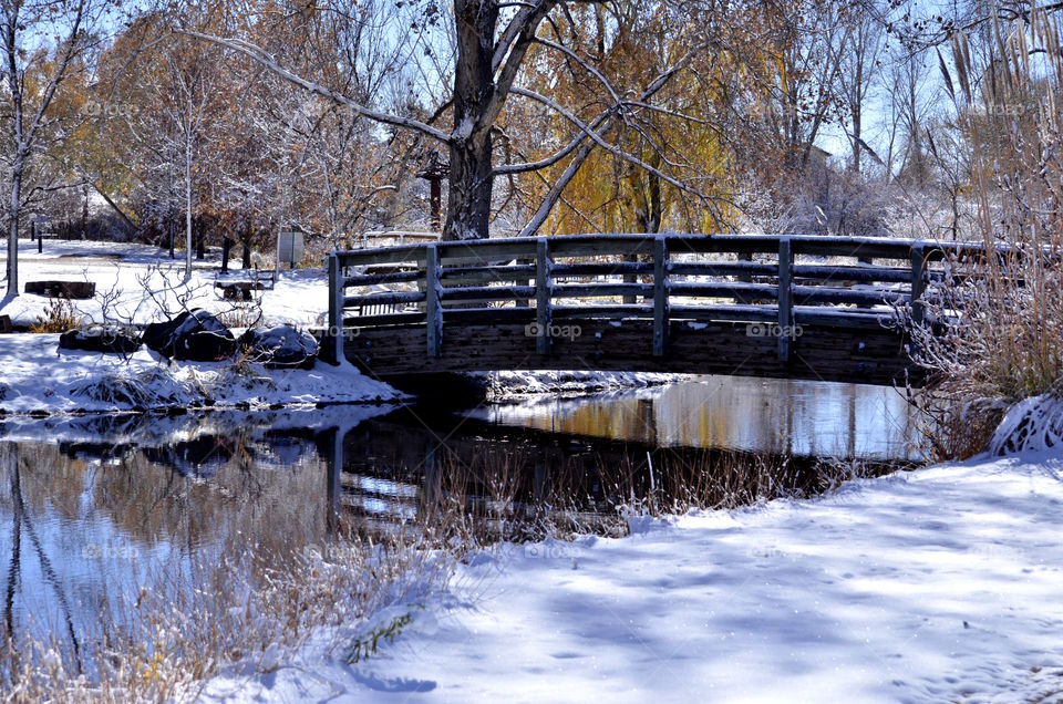 Park bridge in snow