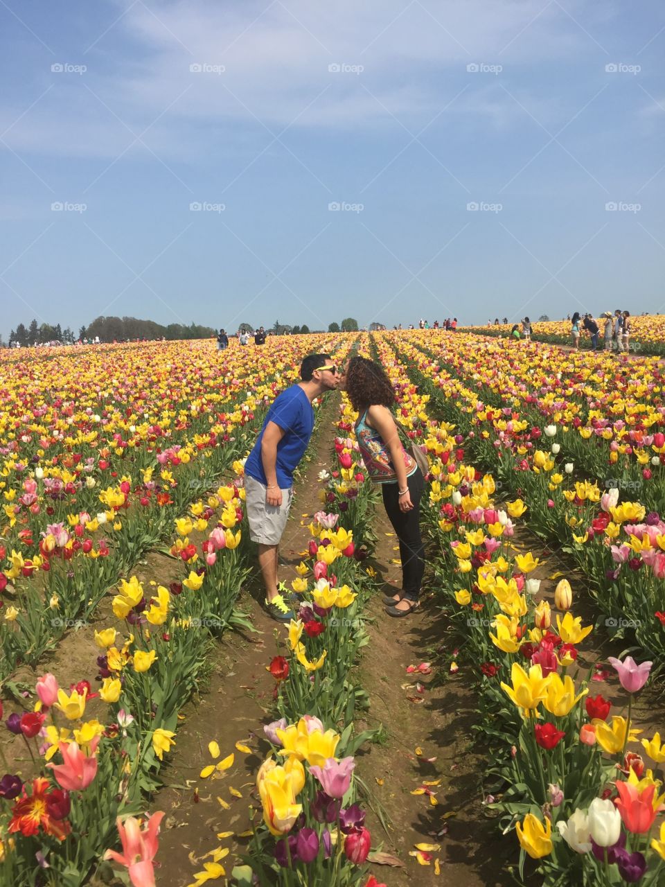 Kissing in a Tulip field in Portland 
