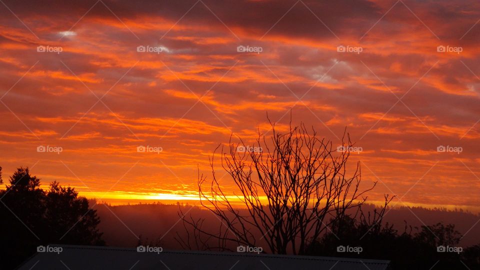 I am always fascinated by sunrises and sunsets.  Every time I marvel at that beautiful sky and enjoy watching it