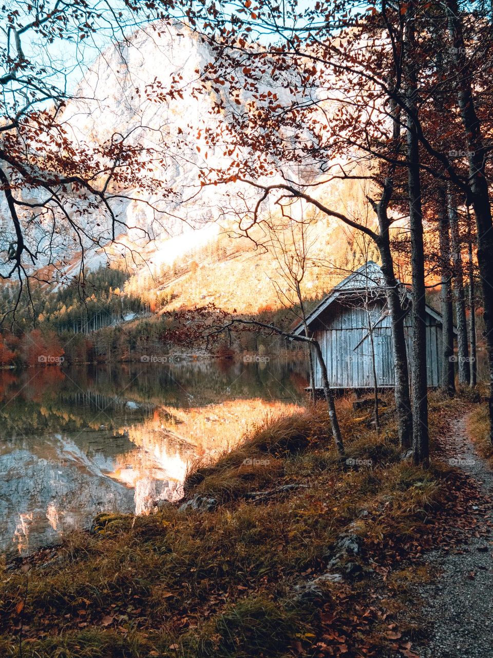 Idyllic scene from the Langbathseen