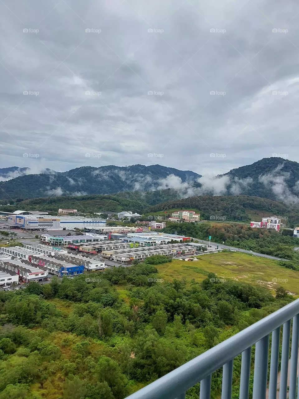 view