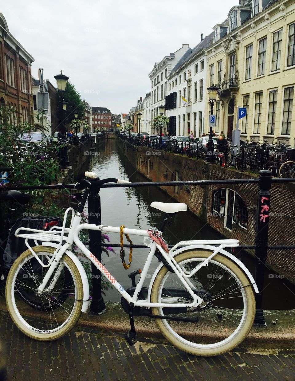 White Bicycle 