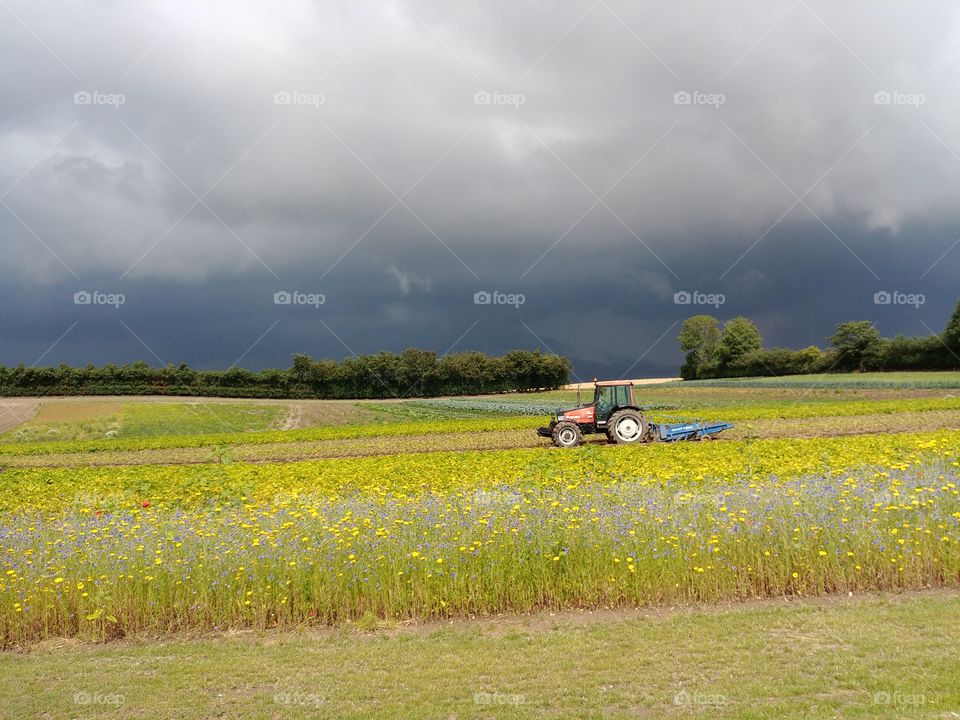 Traktor feld Blumen bunt Sommer land Landschaft