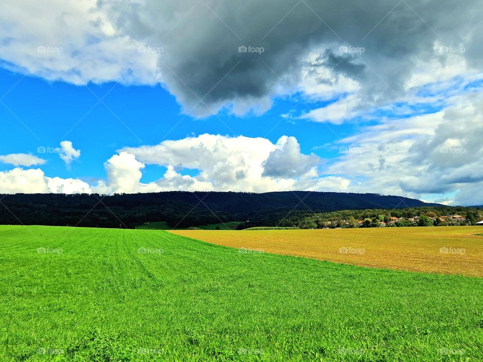 Farbenfrohe Landschaft